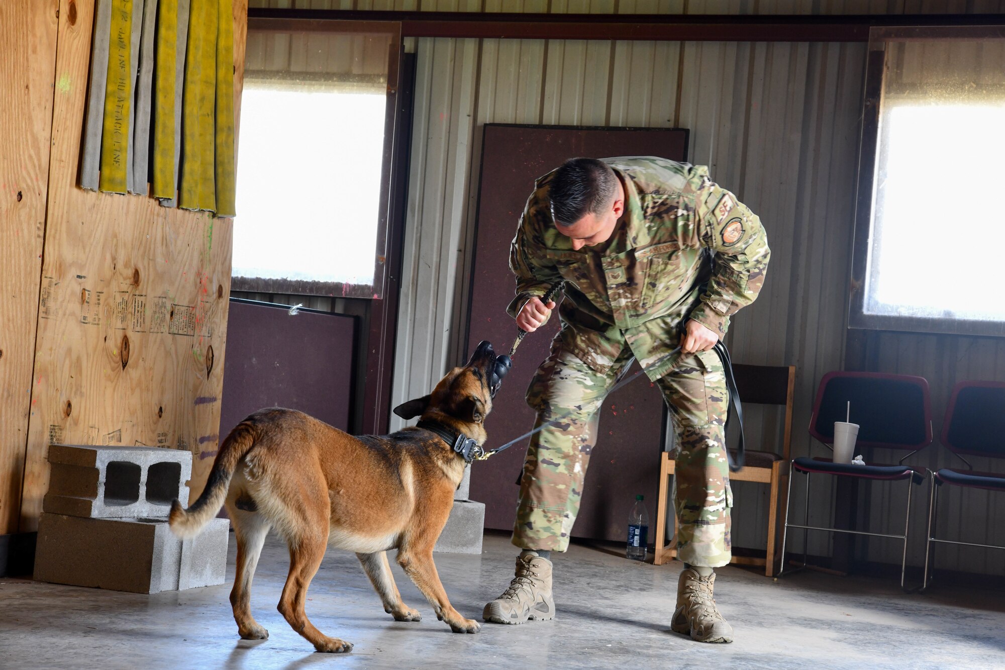 U.S. Air Force Staff Sgt. Kenneth Holt, dog handler assigned to 97th Security Forces Squadron, rewards his dog after training, Mar. 29, 2019, at Altus Air Force Base, Okla. Harry is the newest canine at the 97th SFS.  (U.S. Air Force photo by Airman First Class Dallin Wrye)