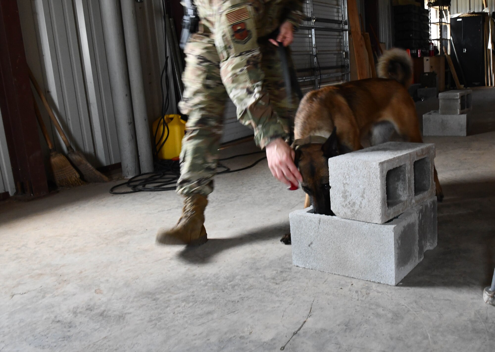 U.S Air Force Tech. Sgt. Joseph Teresi, NCO in charge of Military Working Dogs assigned to 97th Security Forces Squadron, guides his dog to search concrete blocks, Mar. 29, 2019, at Altus Air Force Base, Okla. Highly sensitive peroxide-based explosives are now routinely being used by terrorists, so canine training with these chemicals provides readiness in these situations.  (U.S. Air Force photo by Airman First Class Dallin Wrye)