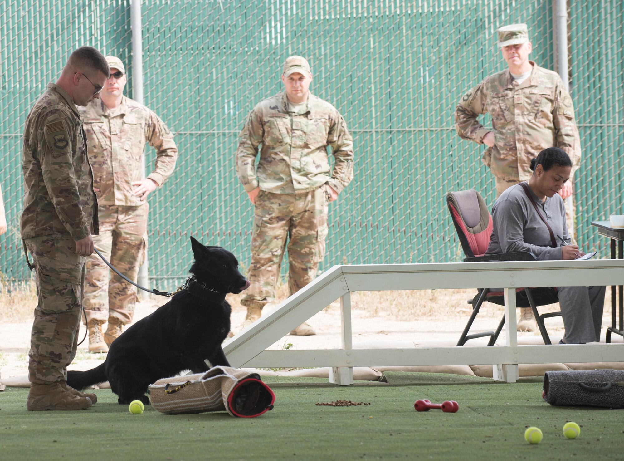 Military working dogs, handlers hone skills with competition