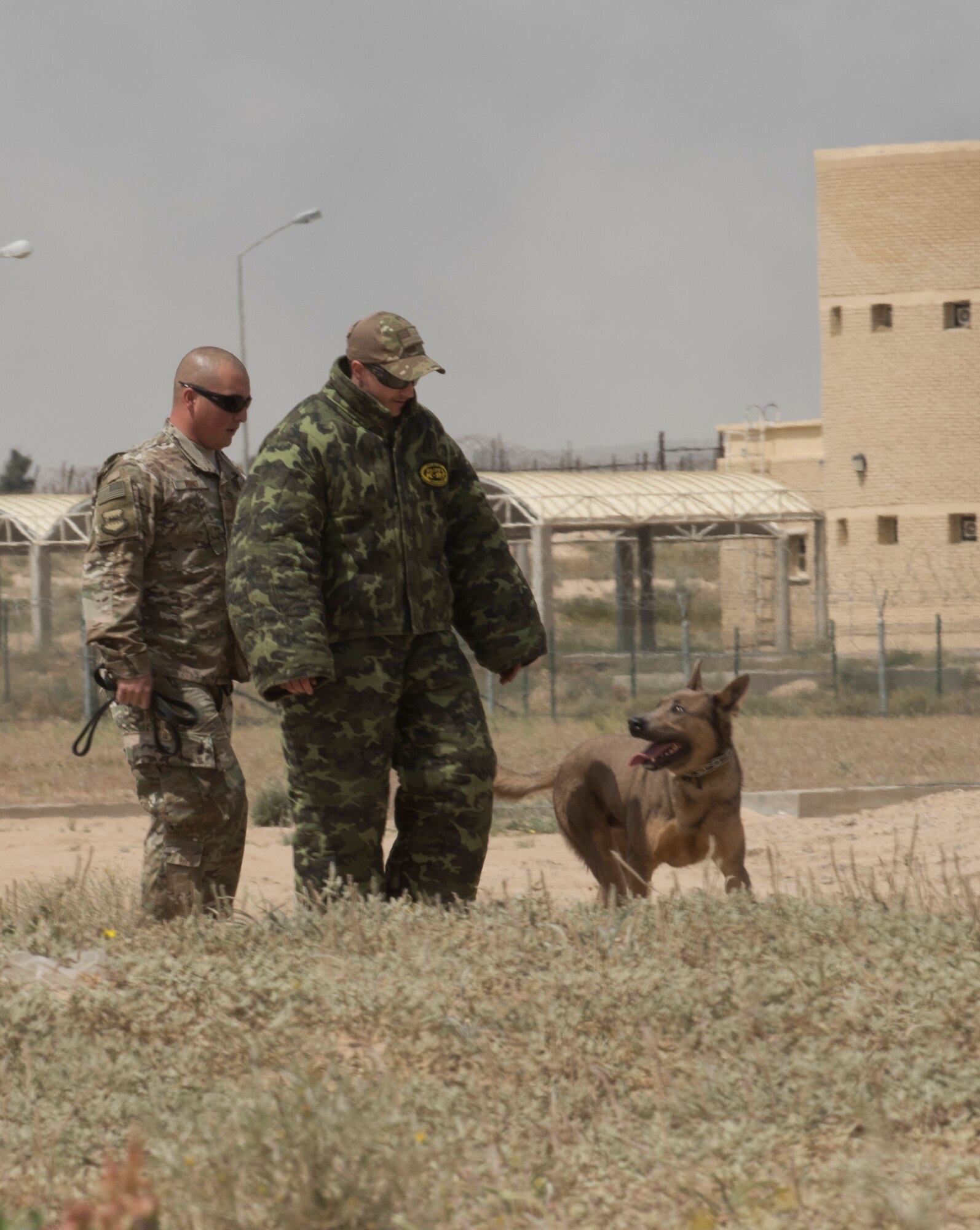 Military working dogs, handlers hone skills with competition