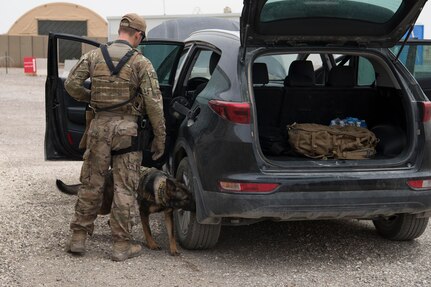 Senior Airman Eliot Tremblay, 332nd Expeditionary Security Forces Squadron military working dog handler, and his MWD partner, Afra, searches a car for possible explosives during an exercise at an undisclosed location in Southwest Asia, May 28, 2018.