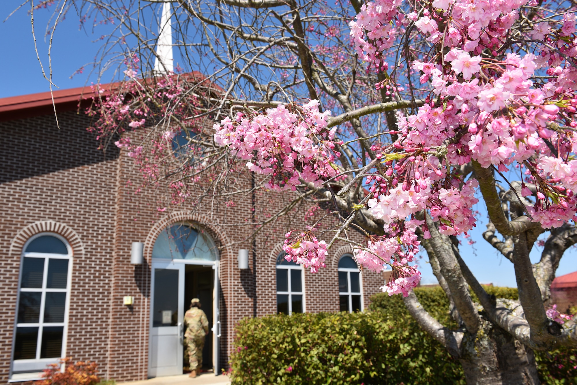 Spring blooms