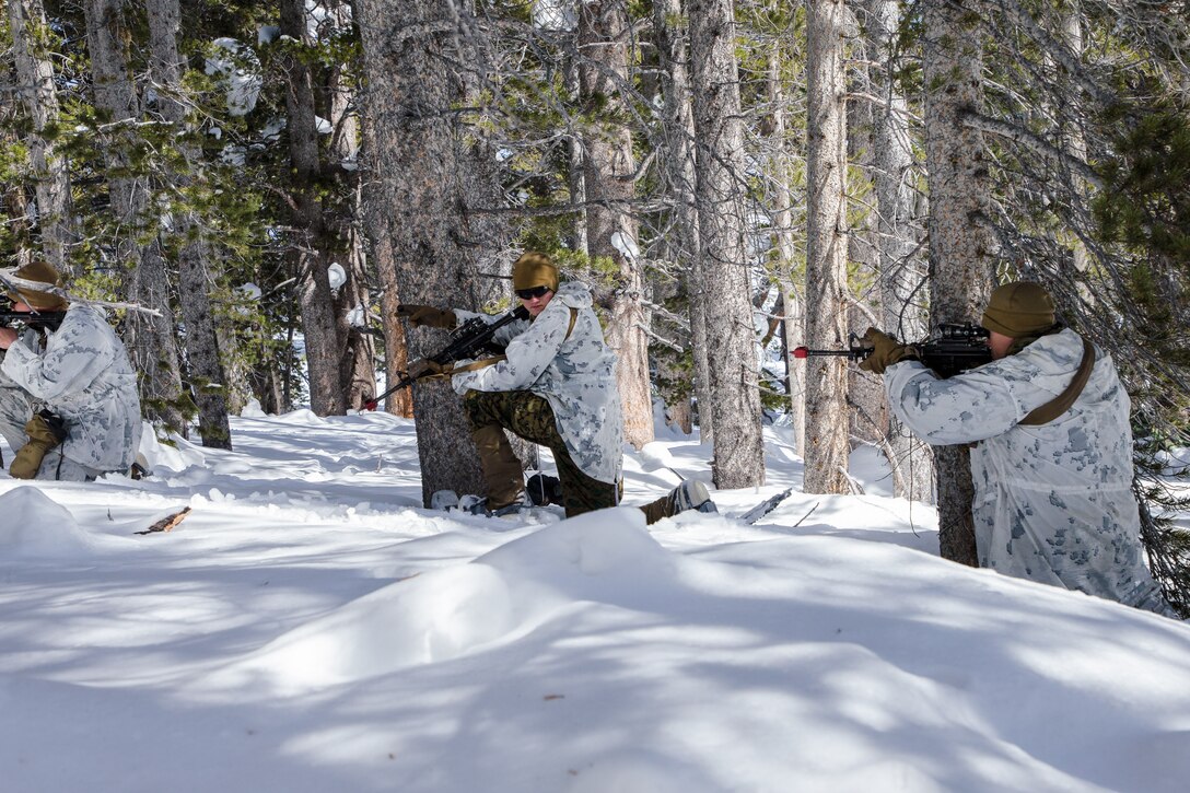 U.S Marines with Company G, 1st Battalion, 6th Marine Regiment, 2nd Marine Division, communicate with each other using hand and arm signals during Mountain Training Exercise (MTX) 1-19, at Marine Corps Mountain Warfare Training Center, Bridgeport, Calif., March 24, 2019. Marines participated in MTX to test their resiliency, proficiency, and endurance with the snowy mountainous terrain. (U.S. Marine Corps photo by Pfc. Christy Yost)