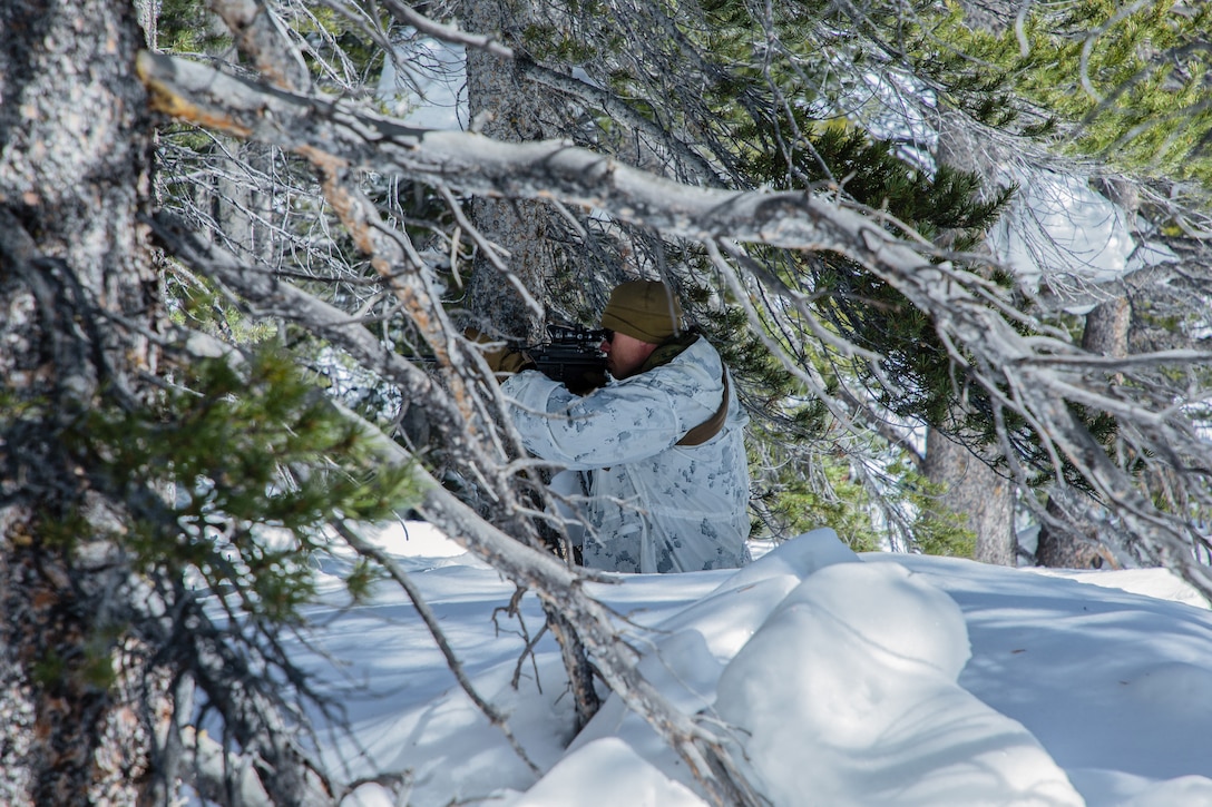 A U.S Marine with Company G, 1st Battalion, 6th Marine Regiment, 2nd Marine Division, provides security while patrolling during Mountain Training Exercise (MTX) 2-19, at Marine Corps Mountain Warfare Training Center, Bridgeport, Calif., March 24, 2019. The purpose of MTX is to prepare Marines for harsh weather conditions while enhancing winter warfare skills in cold weather environments. (U.S. Marine Corps photo by Pfc. Christy Yost)