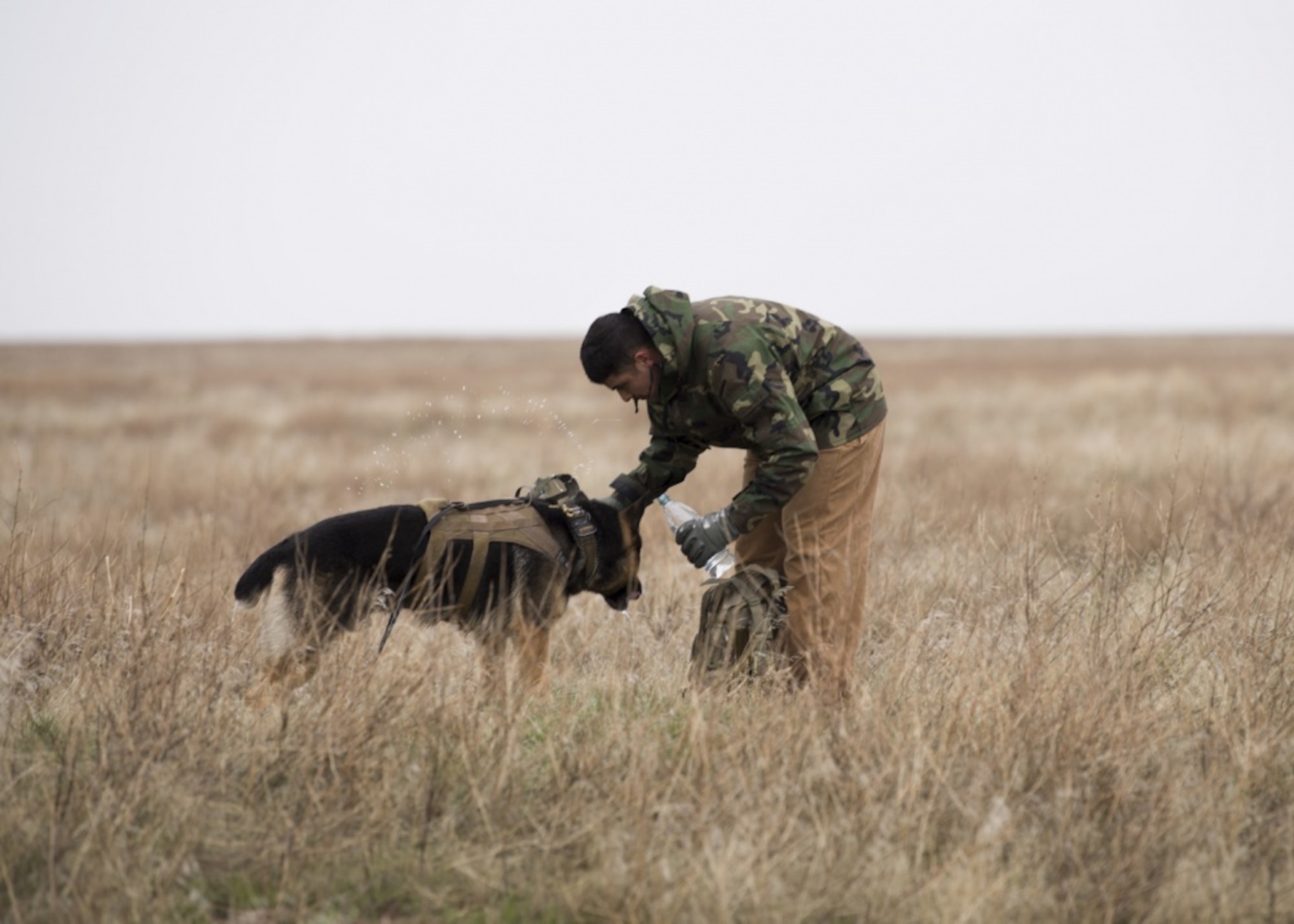 U.S. Air Force Staff Sgt. Antonio Padilla, 366th Security Forces Squadron military working dog trainer, gives Alf, 366th SFS military working dog, a water break while acting as opposition forces to hunt down “crashed” pilots during a combat search and rescue exercise April 2, 2019 at Saylor Creek Range near Mountain Home Air Force Base, Idaho. This is one aspect of the Gunfighter Flag exercise that tests the abilities of pilots to stay hidden until rescue arrives while military working dog trainers and their dogs hone their tracking ability in an expansive environment. (U.S. Air Force photo by Airman First Class Andrew Kobialka)