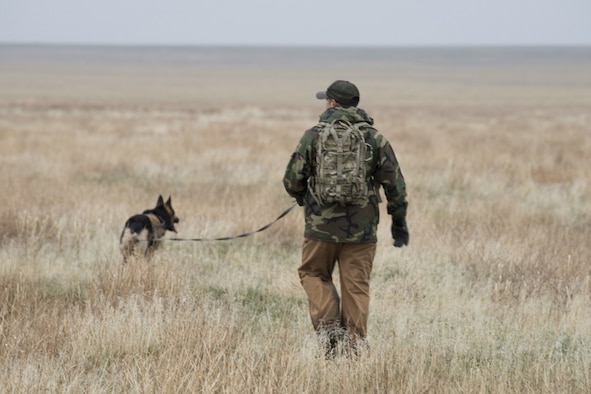 U.S. Air Force Staff Sgt. Antonio Padilla, 366th Security Forces Squadron military working dog trainer, and Alf, 366th SFS military working dog, act as opposition forces and hunt down “crashed” pilots during a combat search and rescue exercise April 2, 2019 at Saylor Creek Range near Mountain Home Air Force Base, Idaho. This is one aspect of the Gunfighter Flag exercise that tests the abilities of pilots to stay hidden until rescue arrives while military working dog trainers and their dogs hone their tracking ability in an expansive environment. (U.S. Air Force photo by Airman First Class Andrew Kobialka)