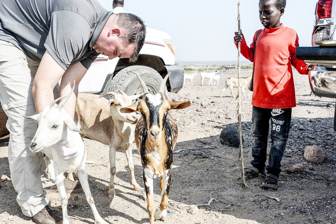 A boy watches as a veterinarian checks one of three goats in a barren field.