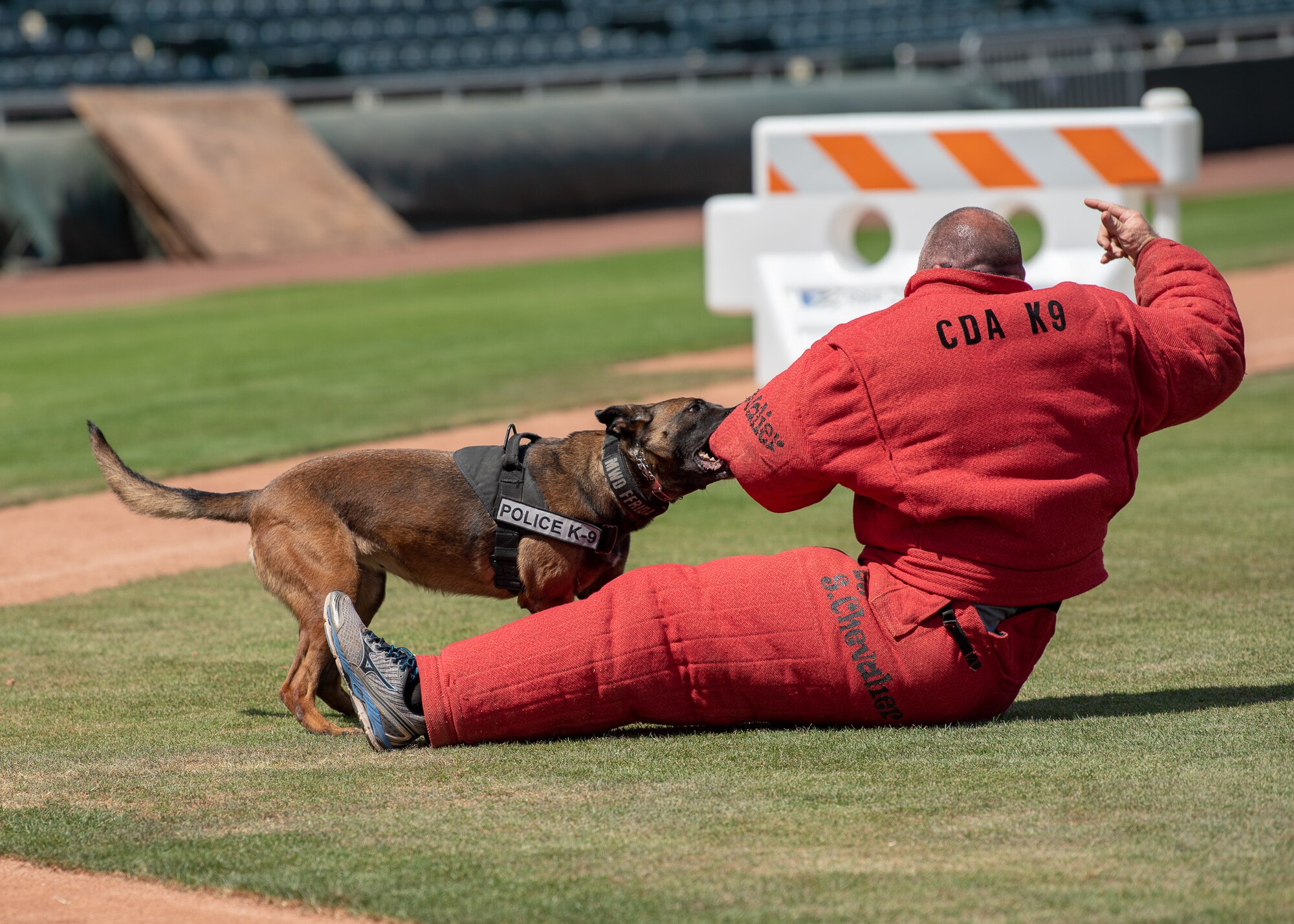 Frida, a Military Working Dog assigned to the 56th Security Forces Squadron, takes down a decoy in the 2019 Desert Dog Trials, April, 6, at Scottsdale Stadium, Scottsdale, Ariz.