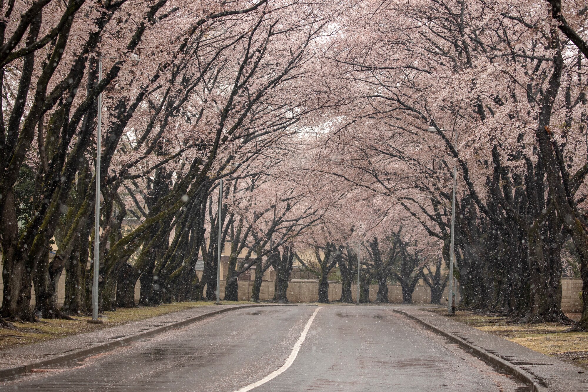 Snowfall in Yokota