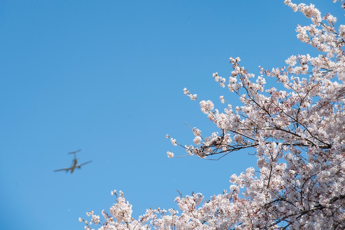 Yokota Air Base: Hãy xem hình ảnh tuyệt đẹp về Yokota Air Base - một trong những căn cứ không quân tuyệt vời nhất của Mỹ tại Nhật Bản. Hình ảnh sẽ cho bạn cái nhìn đầy hoài niệm và kỷ niệm về căn cứ này.