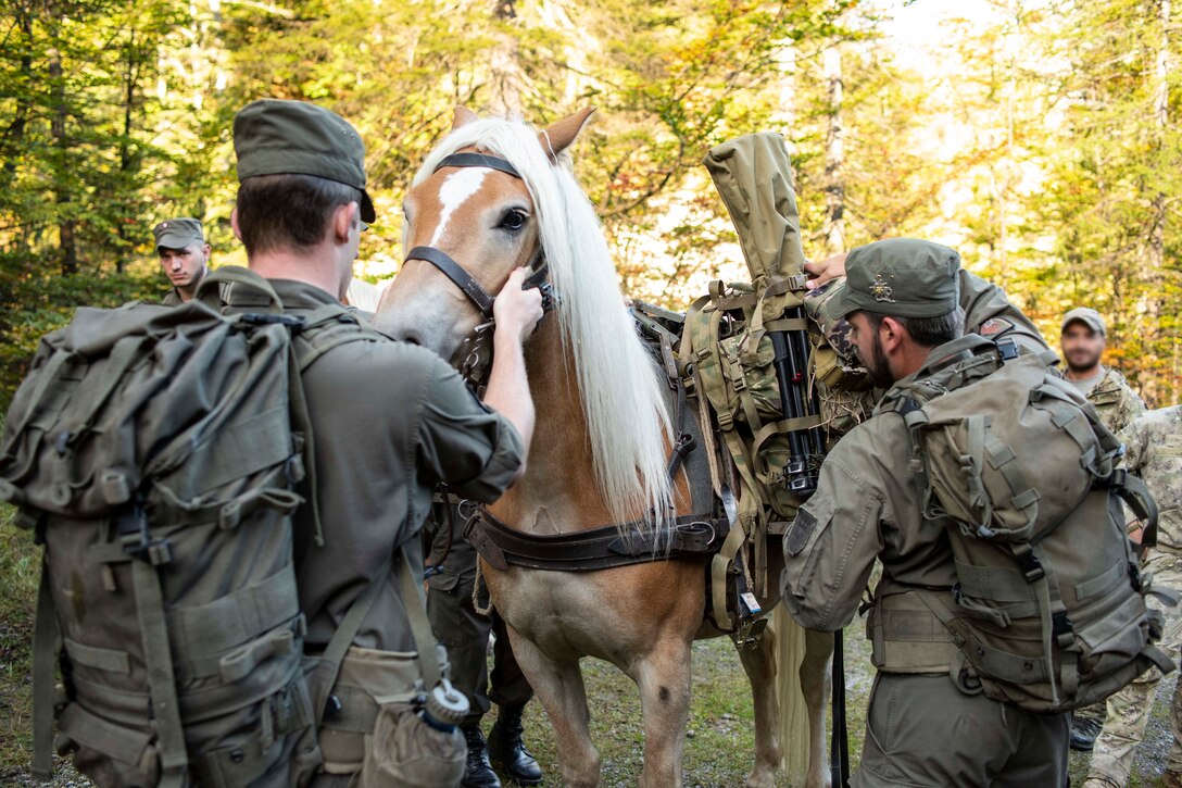 Soldiers work with a horse