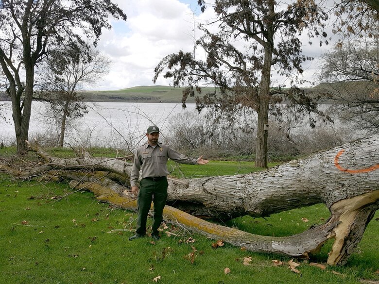 COME AND GET IT! Permit applications for collecting free firewood at U.S. Army Corps of Engineers parks near Ice Harbor Lock and Dam can be obtained at the Tri-Rivers Natural Resources Management Office building, located on Ice Harbor Road near Burbank, Washington.