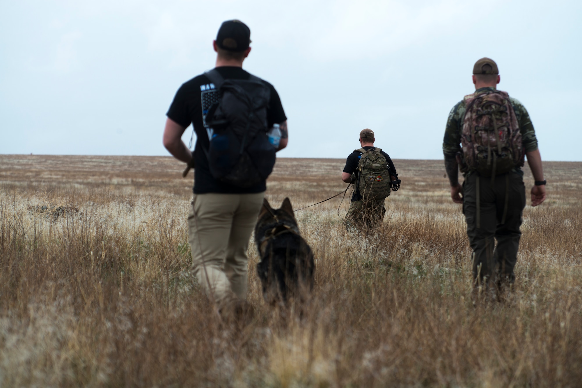 Ronnie, 366th Security Forces Squadron military working dog, searches for pilots in a Survival, Evasion, Resistance and Escape exercise during Gunfighter Flag, April 2, 2019 at Saylor Creek Range Complex, Idaho. The exercise Gunfighter Flag is held once a quarter to hone skills of 366th Fighter Wing Airmen. (U.S. Air Force photo by Airman 1st Class JaNae Capuno)