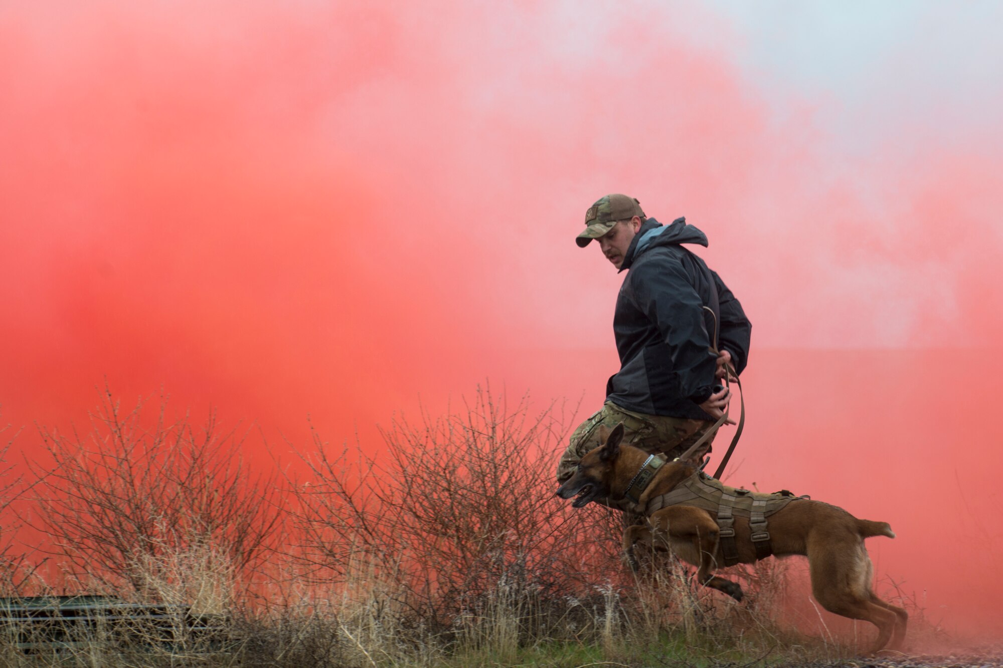 Xxanthe, 366th Security Forces Squadron military working dog, and Staff Sgt. Wade Alfson, 366th SFS, run through smoke from a flare during Survival, Evasion, Resistance and Escape exercise within Gunfighter Flag, April 2, 2019 at Saylor Creek Range Complex, Idaho. The exercise Gunfighter Flag is held once a quarter to hone skills of 366th Fighter Wing Airmen. (U.S. Air Force photo by Airman 1st Class JaNae Capuno)