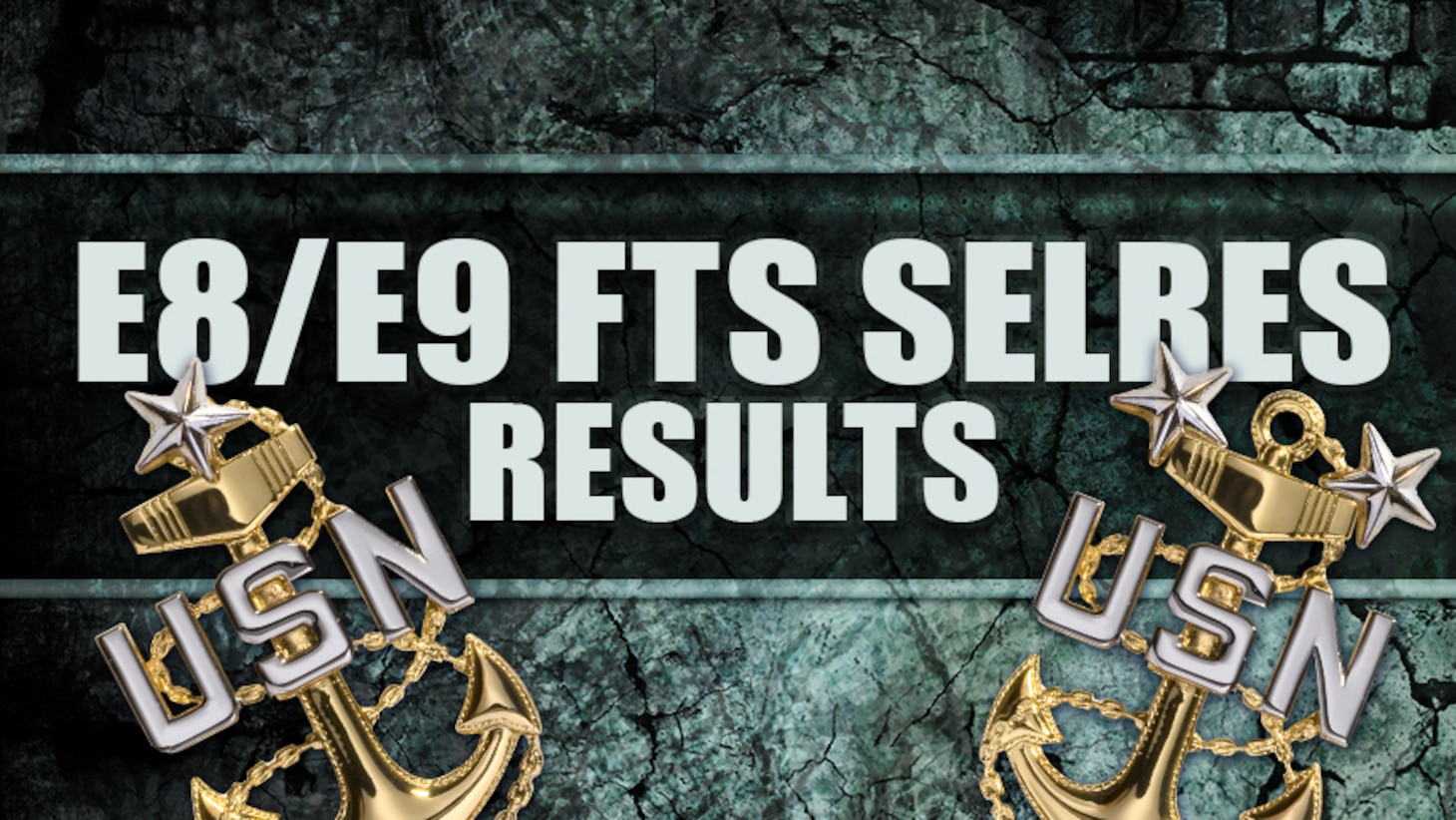 FTS and SELRES E8 and E9 Results > U.S. Navy All Hands > Display Story