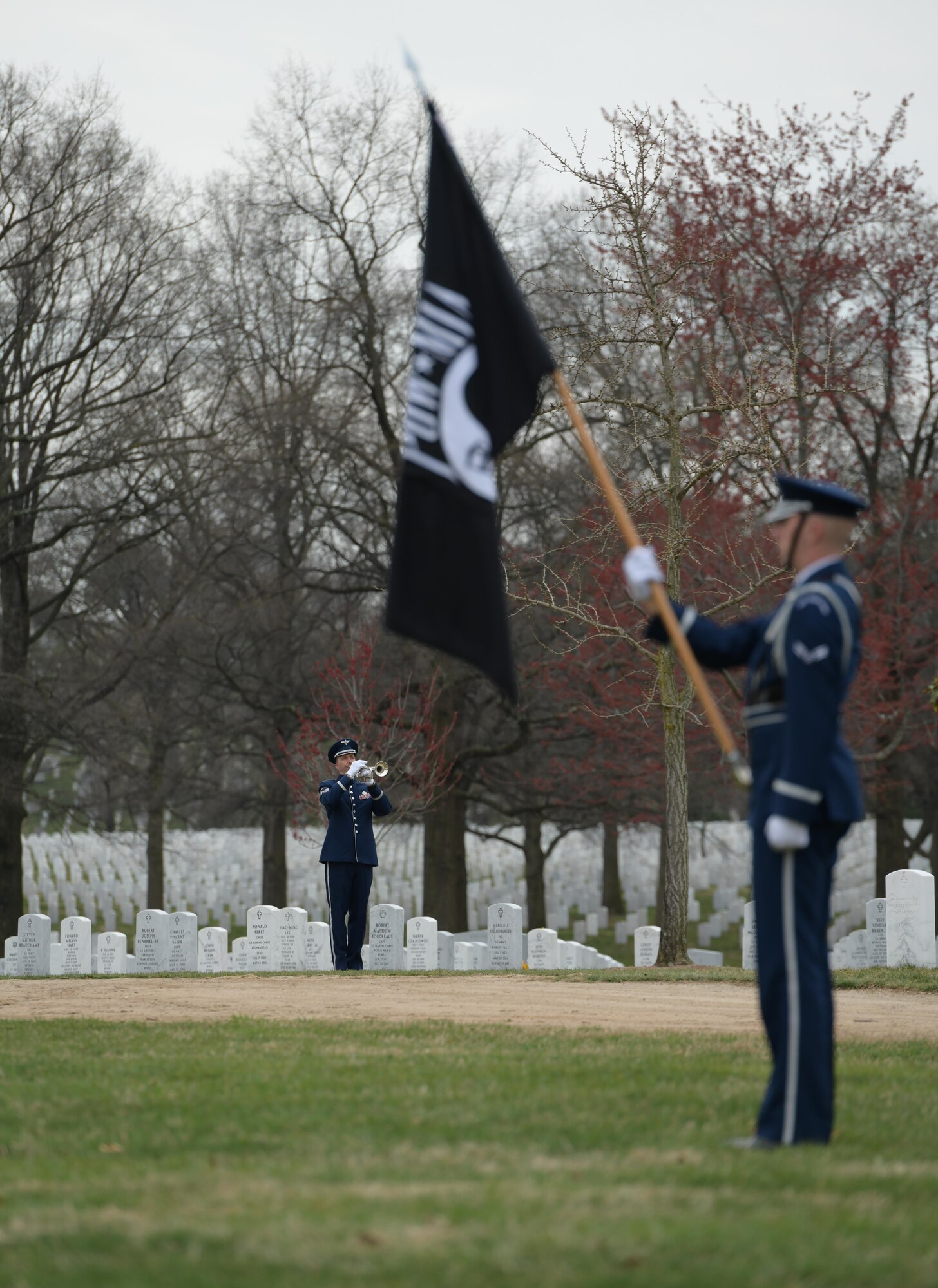 Bugle under the flag