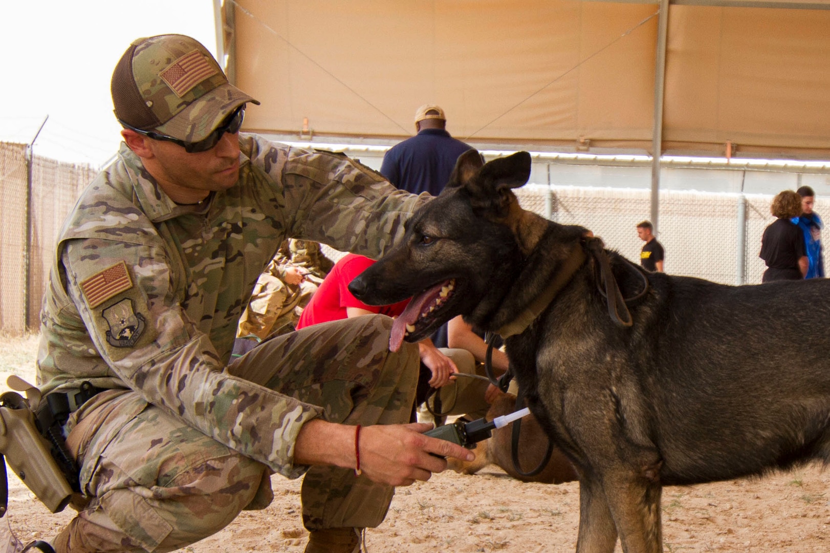 Air Force Staff Sgt. Cory Ruge, military working dog handler, 386th Expeditionary Security Forces Squadron, screens military working dog, Rogane, a German Shepherd who does single purpose explosive detection, during Chemical, Biological, Radiological, or Nuclear (CBRN) decontamination training in Kuwait, April 11, 2019. Members of the 637th Chemical Company, the 719th Medical Detachment Veterinary Service Support, and the 386th Expeditionary Security Forces Squadron came together to conduct a live exercise to train to save the lives of military working dogs and their handlers in the event they were exposed to a CBRN substance. Live training events help prepare service members for real world events which may require them to recall the skills they learned in training to stay in the fight and survive.