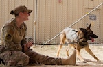 Air Force Staff Sgt. Cory Ruge, military working dog handler, 386th Expeditionary Security Forces Squadron, screens military working dog, Rogane, a German Shepherd who does single purpose explosive detection, during Chemical, Biological, Radiological, or Nuclear (CBRN) decontamination training in Kuwait, April 11, 2019. Members of the 637th Chemical Company, the 719th Medical Detachment Veterinary Service Support, and the 386th Expeditionary Security Forces Squadron came together to conduct a live exercise to train to save the lives of military working dogs and their handlers in the event they were exposed to a CBRN substance. Live training events help prepare service members for real world events which may require them to recall the skills they learned in training to stay in the fight and survive.