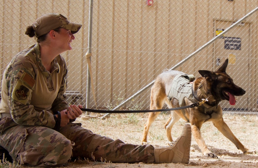 Air Force Staff Sgt. Porschia Easom, military working dog handler, 386th Expeditionary Security Forces Squadron, plays with her military working dog, Beki, a Belgian Malinois that does bite work and finds explosives, in preparation to conduct chemical, biological, chemical, or nuclear (CBRN) decontamination training in Kuwait April 11, 2019. Members of the 637th Chemical Company, the 719th Medical Detachment Veterinary Service Support, and the 386th Expeditionary Security Forces Squadron came together to conduct a live exercise to train to save the lives of military working dogs and their handlers in the event they were exposed to a CBRN substance. Live training events help prepare service members for real world events which may require them to recall the skills they learned in training to stay in the fight and survive.