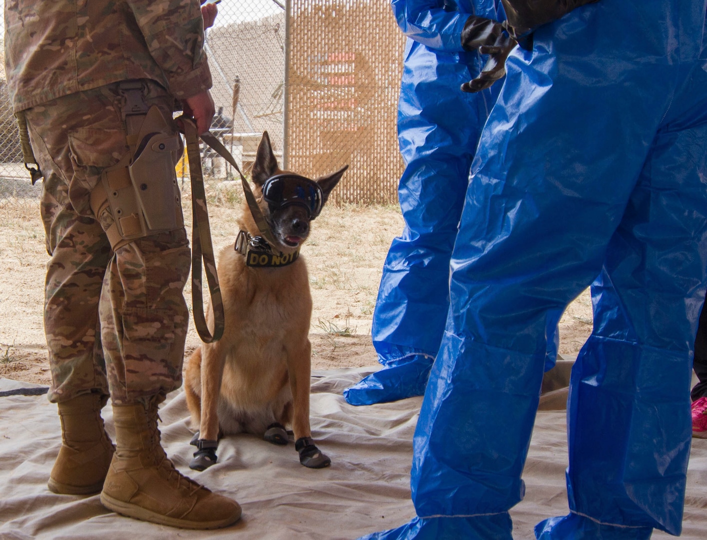Military working dog, Oopey, a Belgian Malinois who does patrol work and explosive detection, wears protective gear and stands with his handler and members of the 637th Chemical Company in preparation to complete Chemical, Biological, Radiological, or Nuclear (CBRN) decontamination training in Kuwait April 11, 2019. This is the first time Oopey conducted CBRN decontamination training. Members of the 637th Chemical Company, the 719th Medical Detachment Veterinary Service Support, and the 386th Expeditionary Security Forces Squadron came together to conduct a live exercise to train to save the lives of military working dogs and their handlers in the event they were exposed to a CBRN substance. Live training events help prepare service members for real world events which may require them to recall the skills they learned in training to stay in the fight and survive.