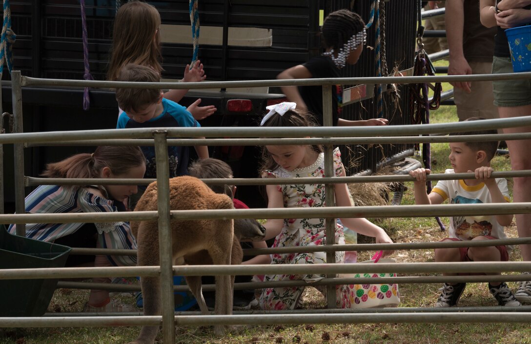 Team Shaw children pet a kangaroo from All American Petting Zoo at the EGGstravaganza on Shaw Air Force Base, SC, April 13, 2019.
