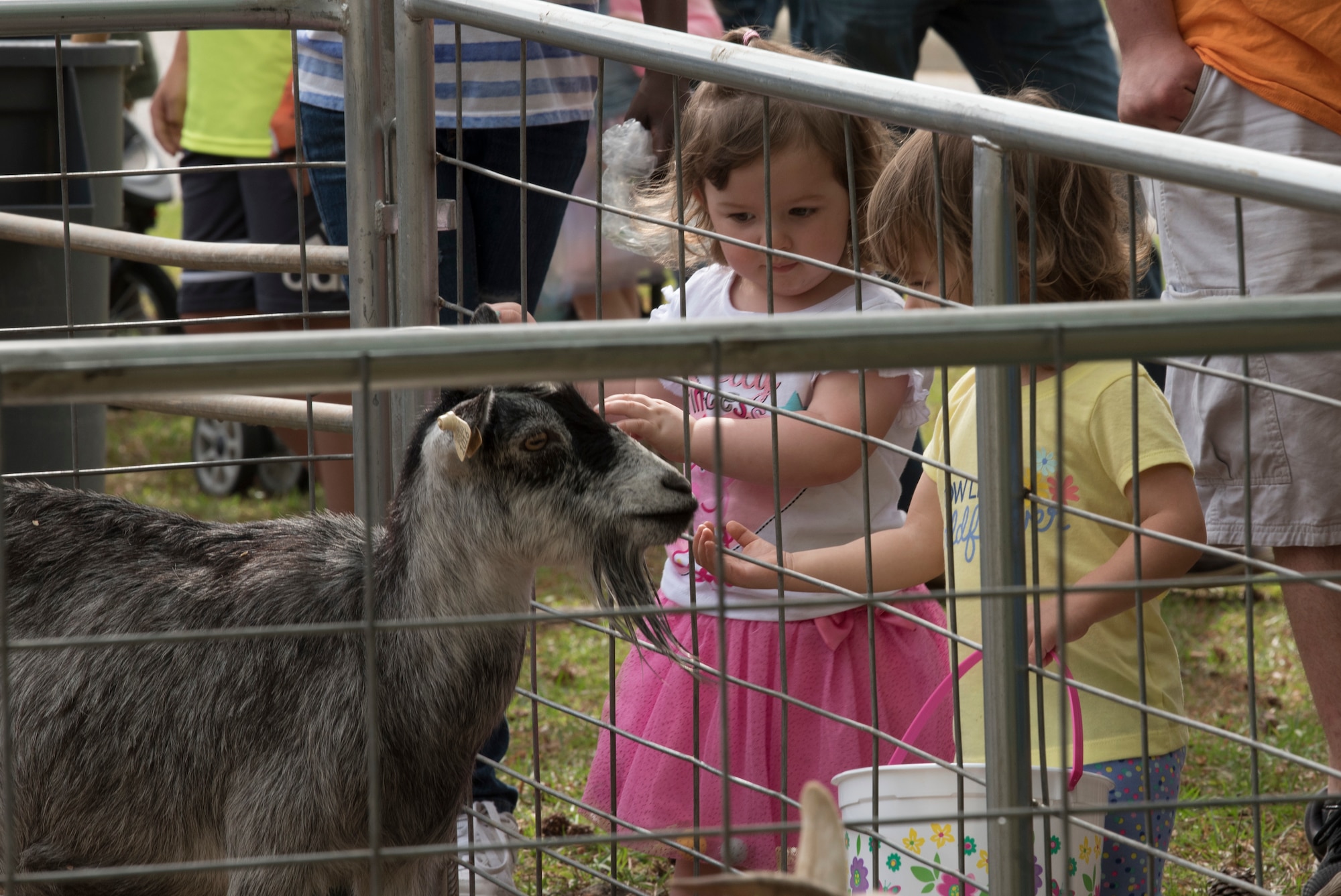 Team Shaw children pet a goat from the All American Petting Zoo at EGGstravaganza on Shaw Air Force Base, SC, April 13, 2019.