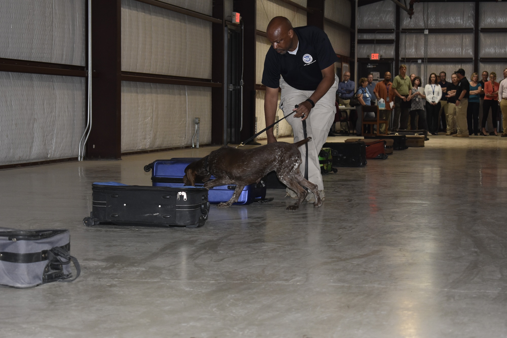Clark Young, Transportation Security Administration trainer, takes his explosives detection dog Bina through a training exercise at TSA’s canine training center on JBSA-Lackland, Texas, April 17, 2019. Every year, TSA trains about 250 canine teams at JBSA-Lackland to operate in the aviation, multimodal, mass transit, and cargo environments. (U.S. Air Force photo by Shannon Carabajal)