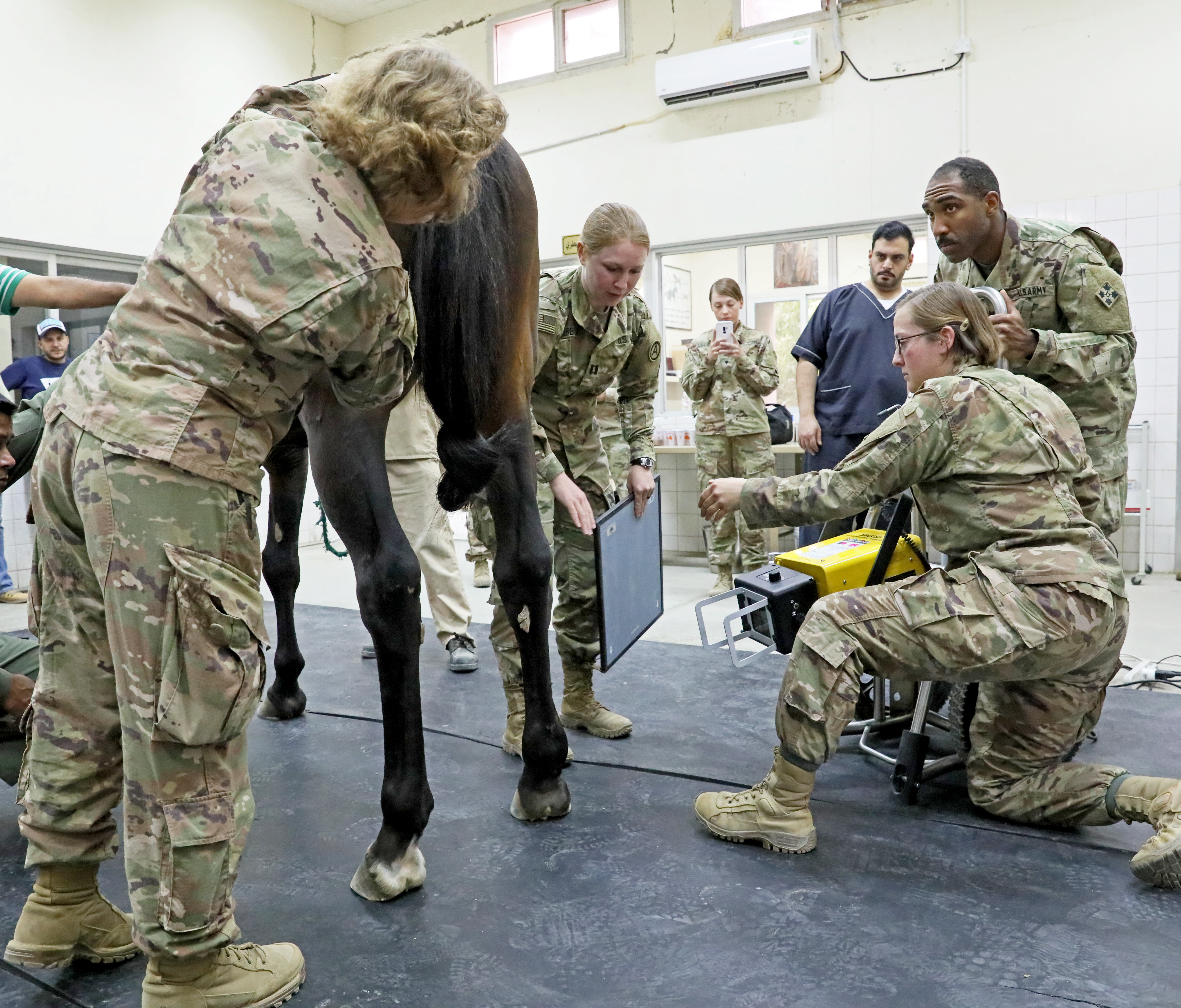 U S Soldiers Support Kuwait Ministry Of Defense Equestrian Program U S Army Central News U S Army Central