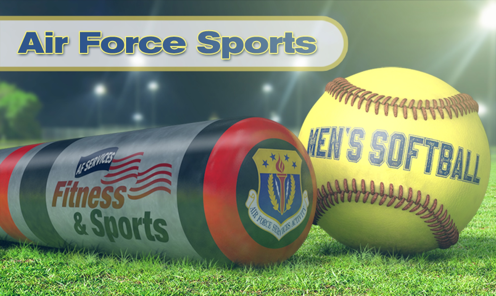 Air Force Men's Softball graphic