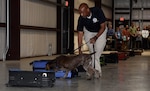 Clark Young, Transportation Security Administration trainer, takes his explosives detection dog Bina through a training exercise at TSA’s canine training center on Joint Base San Antonio-Lackland April 17. Every year, TSA trains about 250 canine teams at JBSA-Lackland to operate in the aviation, multimodal, mass transit, and cargo environments.