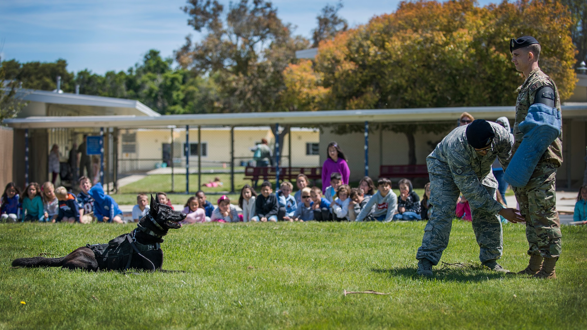 career day