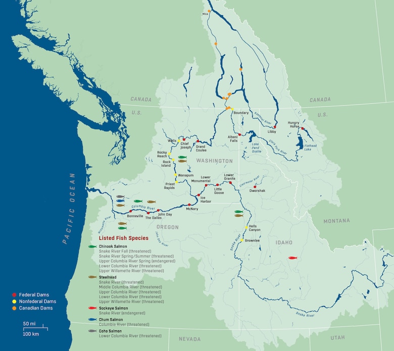 The Columbia River and Snake River basins located in northwestern