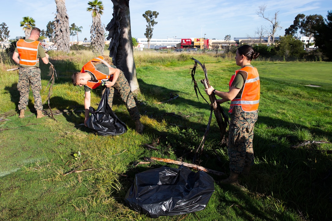 Marines with Headquarters and Headquarters Squadron remove dead branches during base clean up at Marine Corps Air Station Miramar, Calif., April 11. Base-wide cleanups are conducted on and off the installation to promote the installations high standards and a cleaner environment. (Photo by Cpl. Preston Hightower)