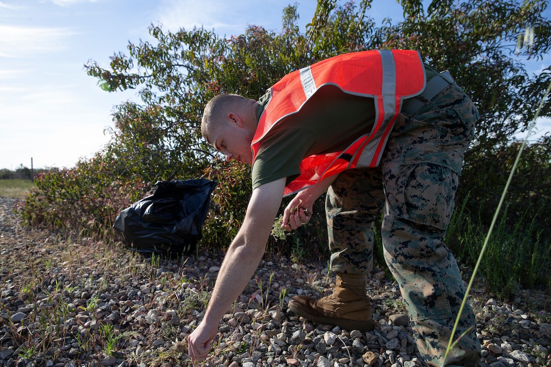 Lance Cpl. Patrick Line, administrative clerk with Headquarters and Headquarters Squadron, removes weeds and trash during base clean up at Marine Corps Air Station Miramar, Calif., April 11. Base-wide cleanups are conducted on and off the installation to promote the installations high standards and a cleaner environment. (Photo by Cpl. Preston Hightower)