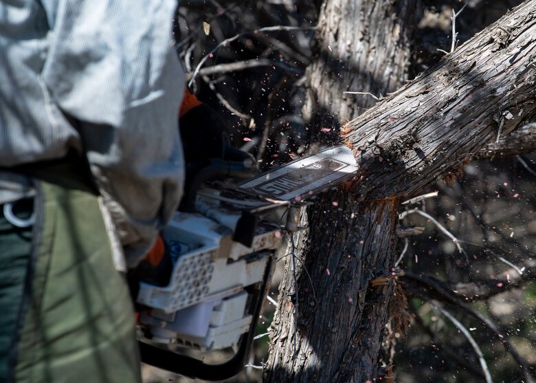 Greg Valdez, Kirtland’s assistant wildland fire module leader, masticates overgrowth with a chainsaw in the forest area of Kirtland Air Force Base, N.M. April 16, 2019. Kirtland is conducting a multi-step wildfire prevention project spanning across 16,000 acres of its eastern-most remote forest area. (U.S. Air Force photo by Staff Sgt. J.D. Strong II)