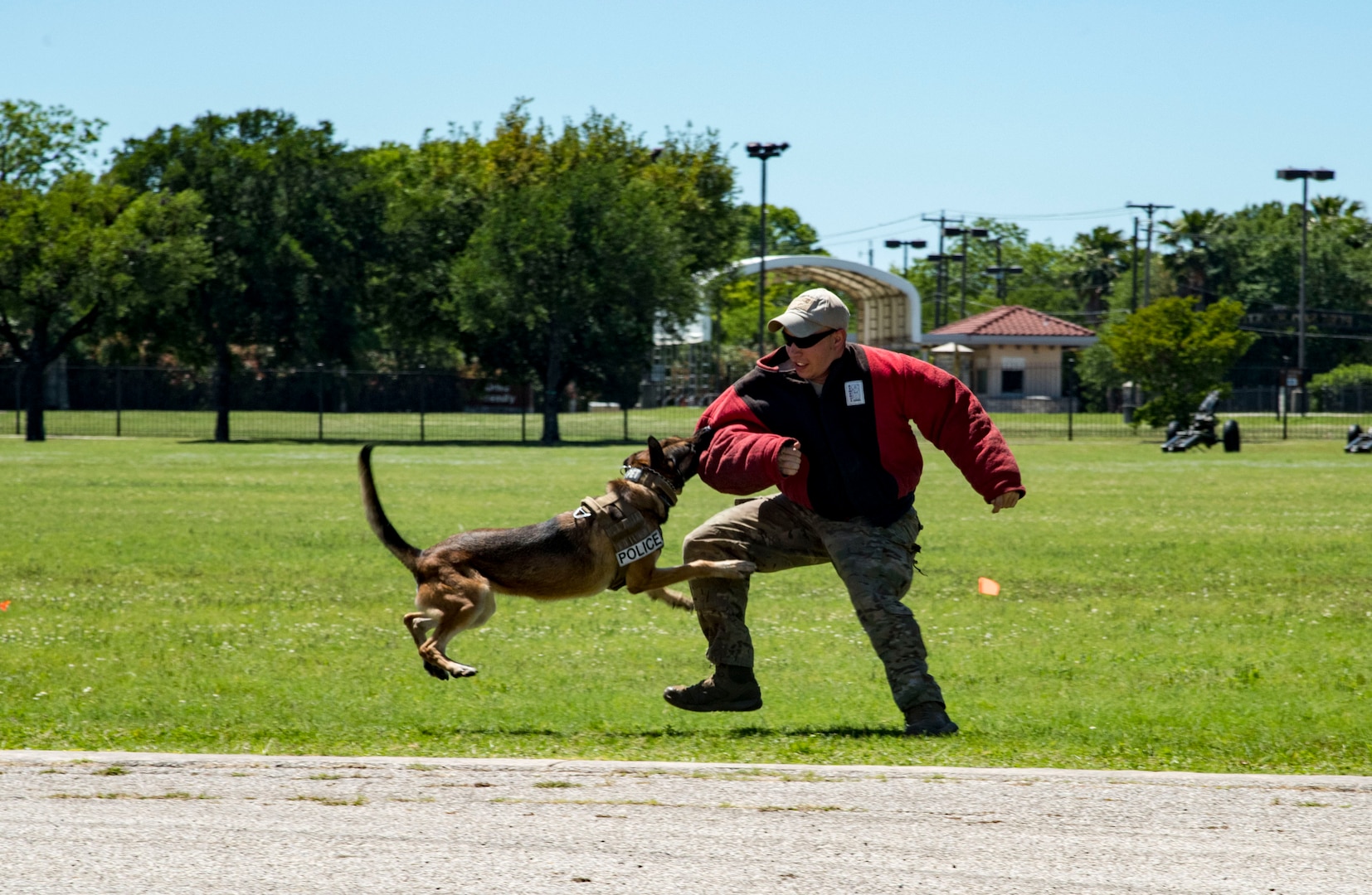 An Airman performs a military working dog demonstration April 20, 2019, at Joint Base San Antonio-Fort Sam Houston, Texas during the Fiesta and Fireworks Extravaganza. Fiesta honors the long-standing partnership between the U.S. military and San Antonio in annual Fiesta events, which commemorate Texas’ independence after the Battle of San Jacinto and the Alamo.  (U.S. Air Force photo by Senior Airman Stormy Archer)