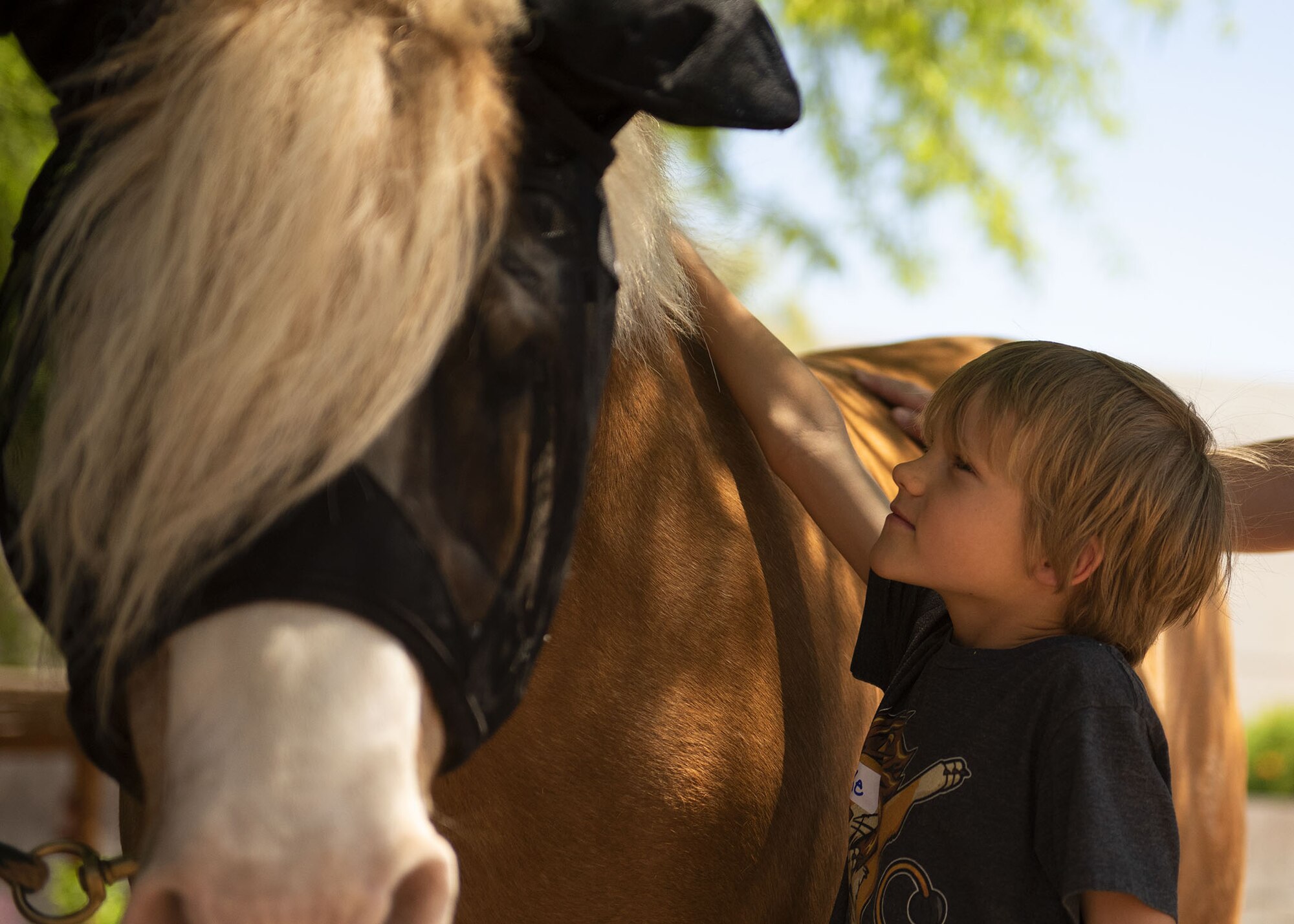 A child pets a horse at Horses Help, April 20, 2019, in Phoenix, Ariz.