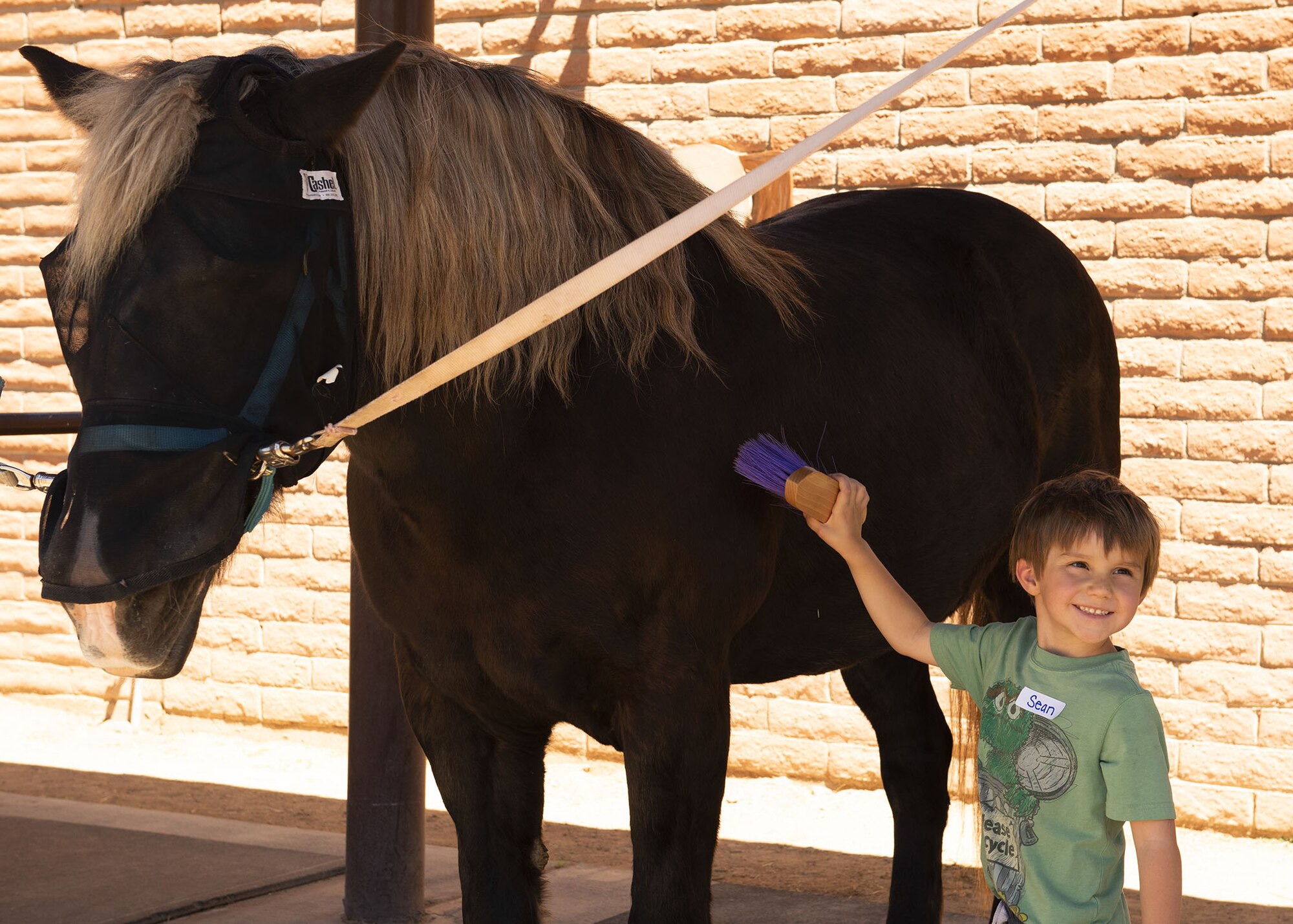 A child brushes a horse at Horses Help, April 20, 2019, in Phoenix, Ariz.