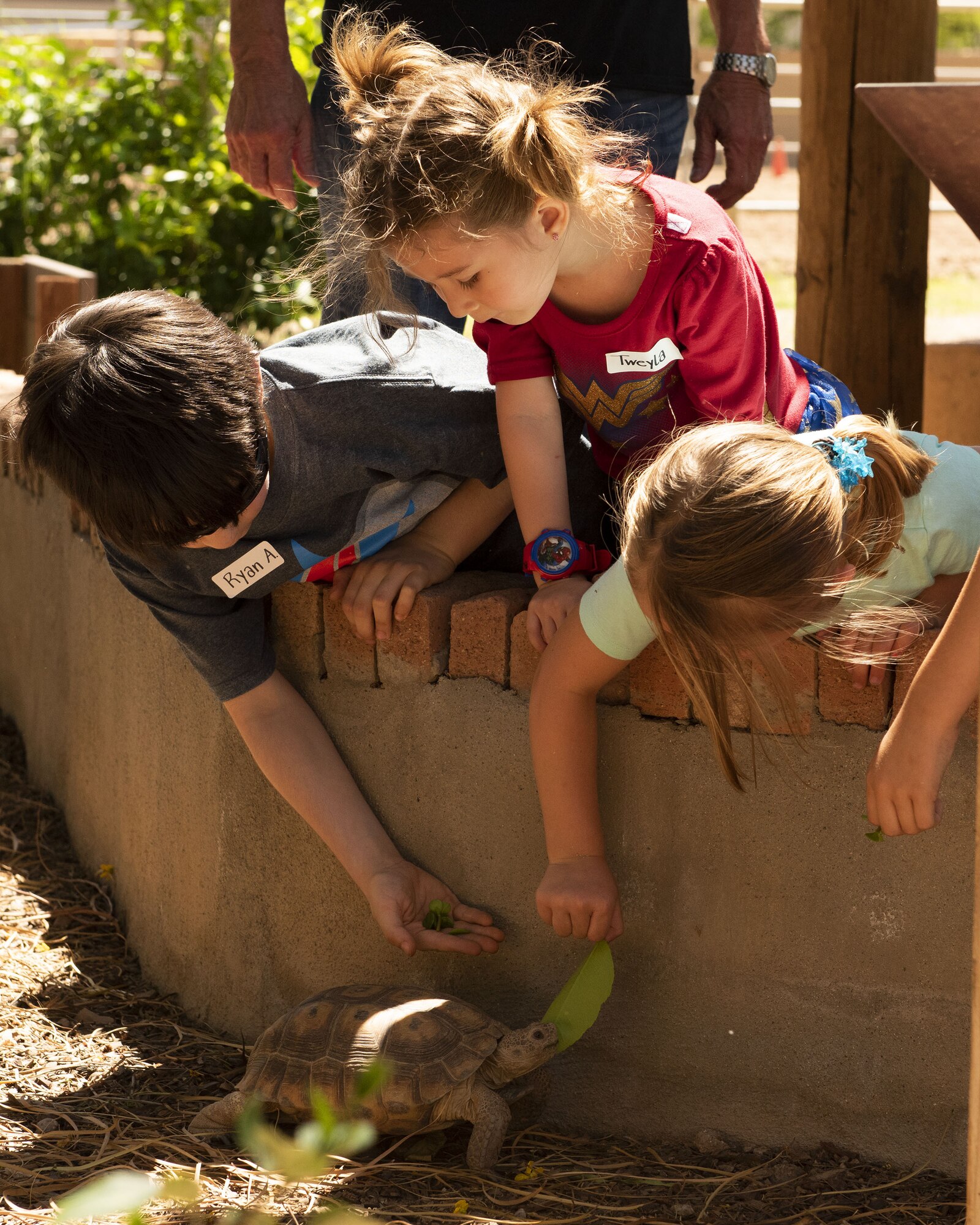 Children feed a turtle at Horses Help, April 20, 2019, in Phoenix, Ariz.