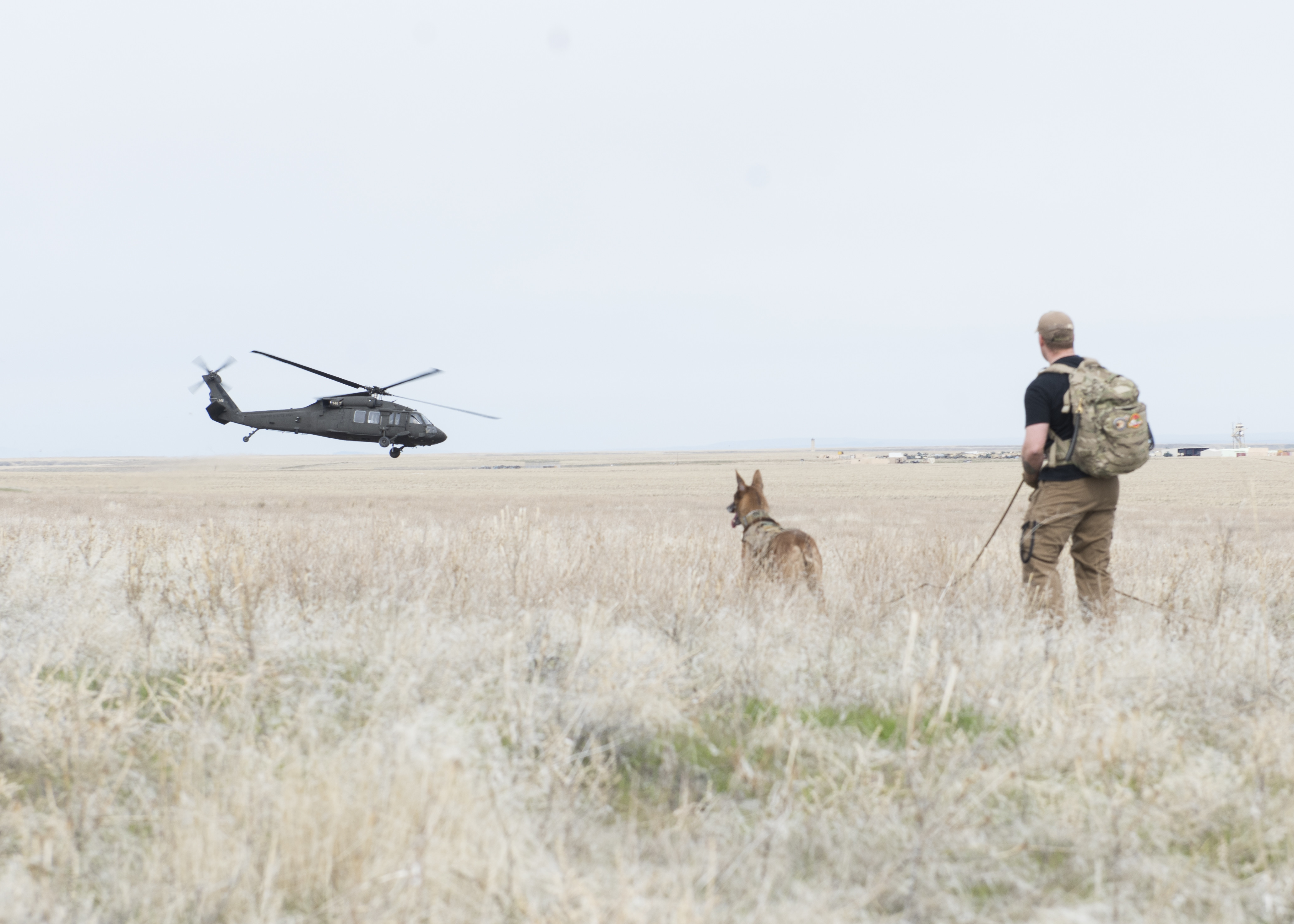 Mountain Home AFB conducts combat survival training > Mountain Home Air