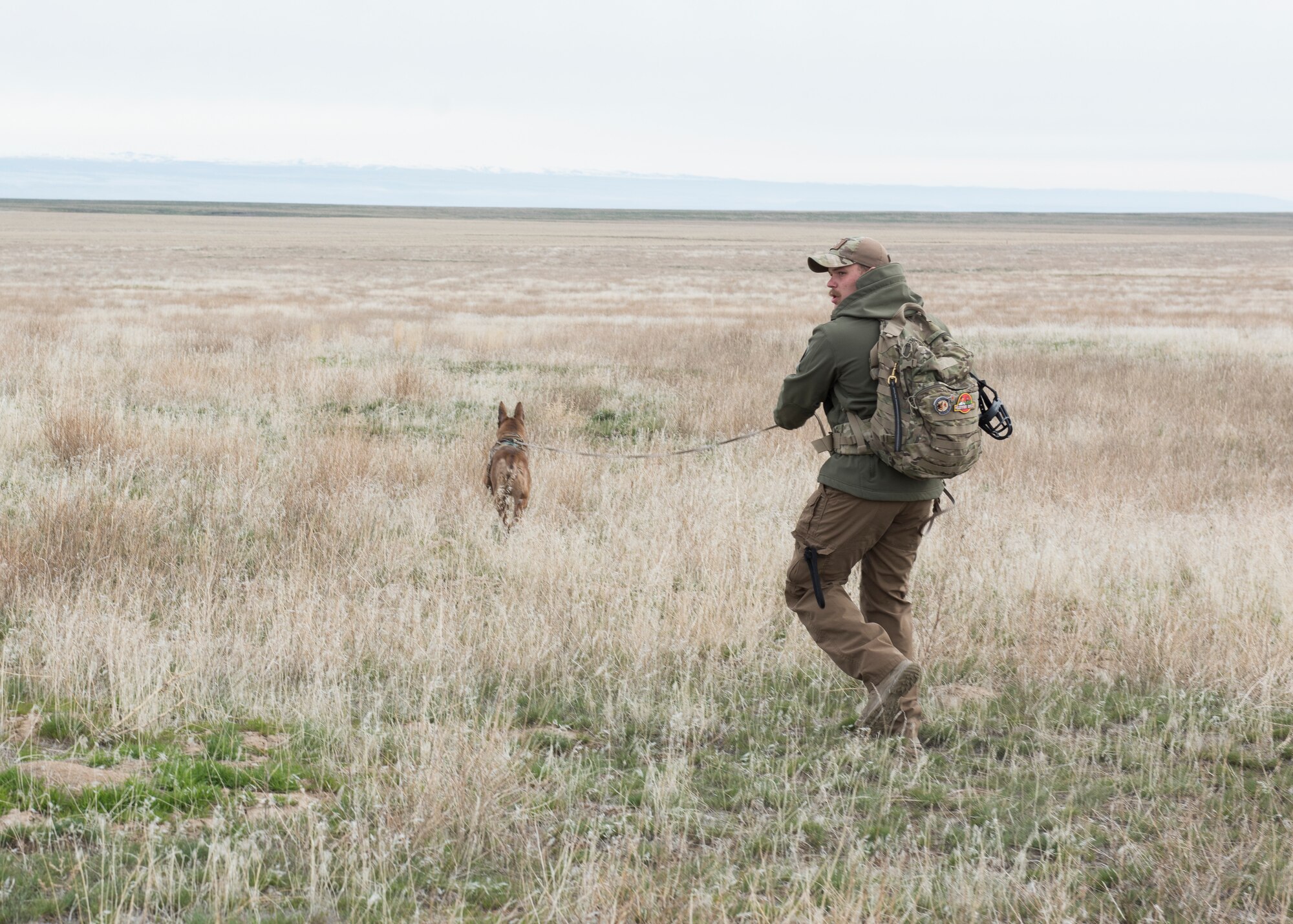 Senior Airman Wade D. Alfson follows a K9 unit in a simulated search during a combat survival exercise for Gunfighter Flag March 2, 2019 at sailor creek range. Air crew from Mountain Home Air Force base underwent refresher training on evading capture and acquiring recovery from Combat Search and Rescue Personnel during Gunfighter Flag. (U.S. Air Force photo by Senior Airman Tyrell Hall)