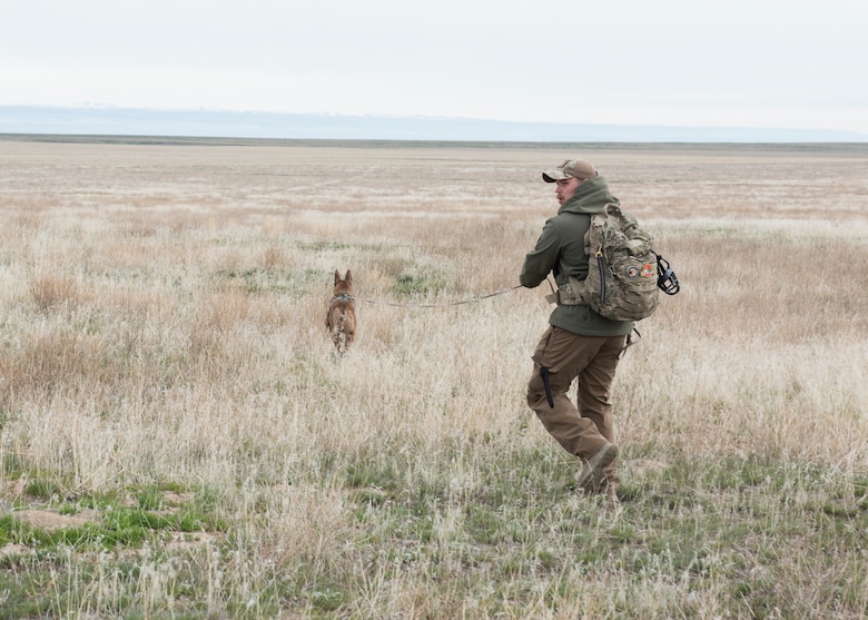 Senior Airman Wade D. Alfson follows a K9 unit in a simulated search during a combat survival exercise for Gunfighter Flag March 2, 2019 at sailor creek range. Air crew from Mountain Home Air Force base underwent refresher training on evading capture and acquiring recovery from Combat Search and Rescue Personnel during Gunfighter Flag. (U.S. Air Force photo by Senior Airman Tyrell Hall)