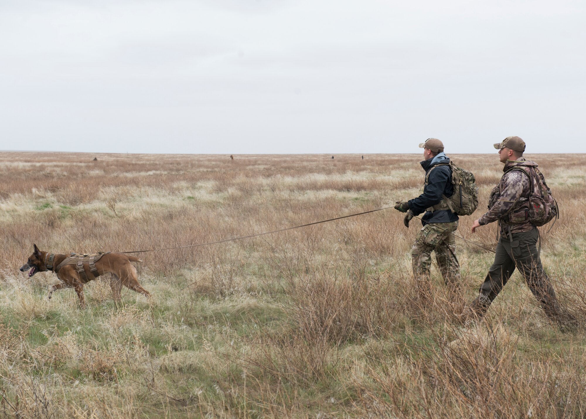 Senior Airman Wade D. Alfson follows a K9 unit in a simulated search during a training exercise for Gunfighter Flag, March 2, 2019 at sailor creek range. Air crew from Mountain Home Air Force base underwent refresher training on evading capture and acquiring recovery from Combat Search and Rescue Personnel during Gunfighter Flag. (U.S. Air Force photo by Senior Airman Tyrell Hall)