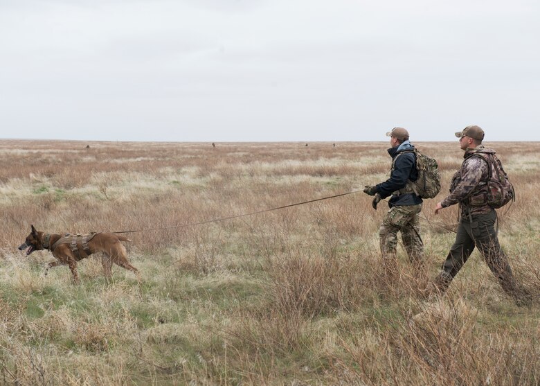 Senior Airman Wade D. Alfson follows a K9 unit in a simulated search during a training exercise for Gunfighter Flag, March 2, 2019 at sailor creek range. Air crew from Mountain Home Air Force base underwent refresher training on evading capture and acquiring recovery from Combat Search and Rescue Personnel during Gunfighter Flag. (U.S. Air Force photo by Senior Airman Tyrell Hall)