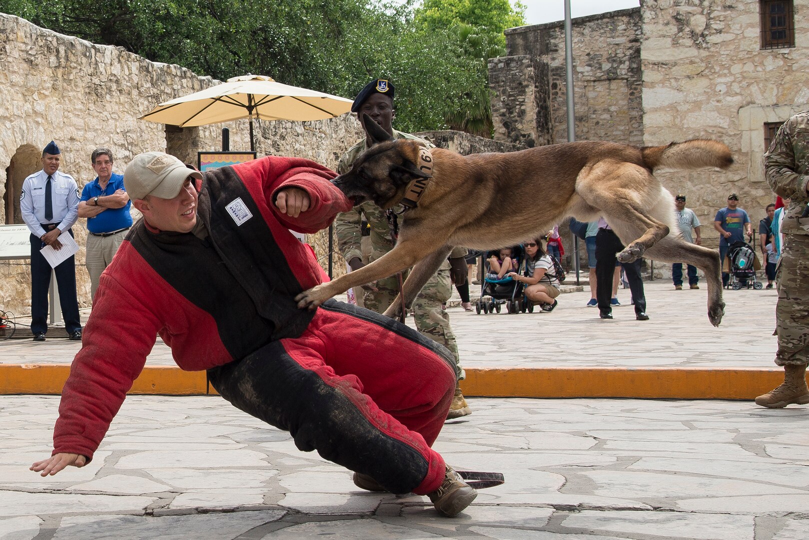 Members of the 802nd Security Force Squadron military working dog handlers, demonstrate MWD obedience, detection and patrol skills during San Antonio’s Fiesta Air Force Day at the Alamo, April 22, 2019. From its beginning in 1891, Fiesta has grown into an annual celebration that includes civic and military observances, street and river parades, exhibits, pilgrimages and memorials.