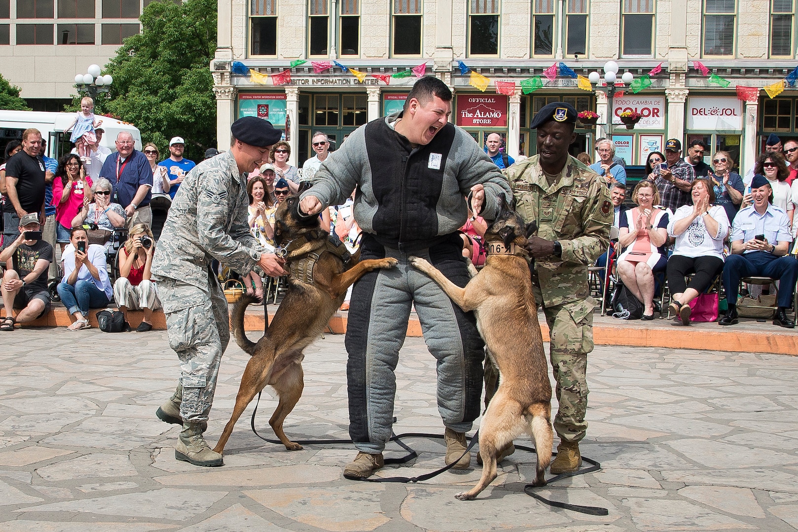 Members of the 802nd Security Force Squadron military working dog handlers, demonstrate MWD obedience, detection and patrol skills during San Antonio’s Fiesta Air Force Day at the Alamo, April 22, 2019. From its beginning in 1891, Fiesta has grown into an annual celebration that includes civic and military observances, street and river parades, exhibits, pilgrimages and memorials.