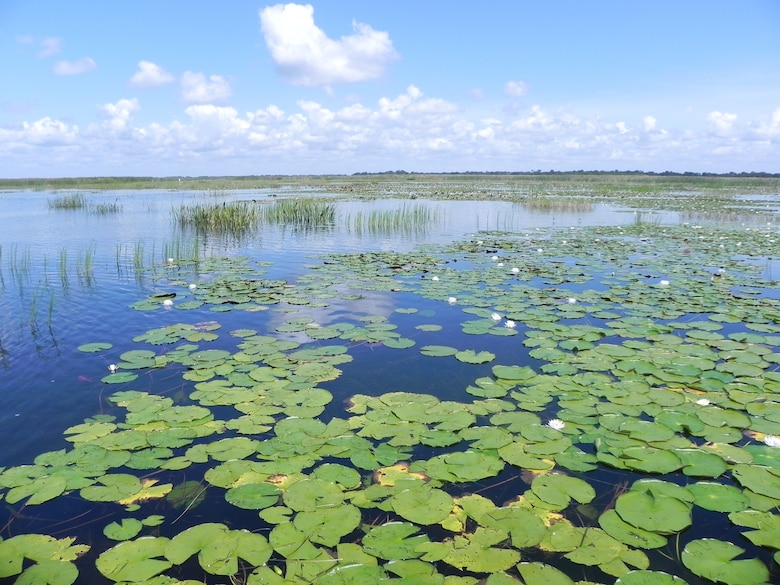 photo of East Lake Toho