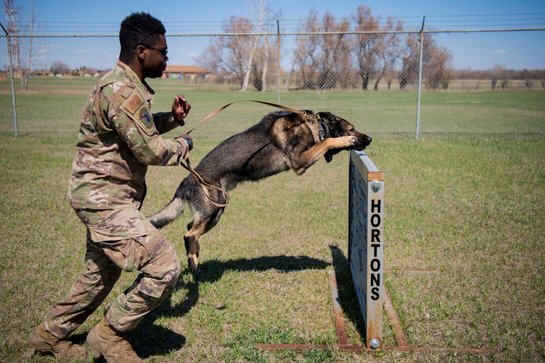 A dog jumps over an obstacle on a training course while an airman runs alongside holding on to his leash.
