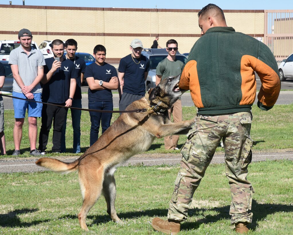 Military Working Dog Syrius attacks Senior Amn. Caleb Brown during a six-phase aggression demonstration for 15 Air Force recruits in the Delayed Enlistment Program Apr. 8. The 349th Recruiting Squadron worked with the 72nd Security Forces Squadron to highlight different aspects of the Security Forces world for the recruits while they are awaiting their spot in Basic Training. Besides the military working dogs section, 72nd SFS Investigators were on-hand to show fingerprinting and drug testing techniques, Combat Arms held a hands-on weapons display and members of the 72nd SFS Training Section held a "less than lethal" force demonstration which the recruits participated in.