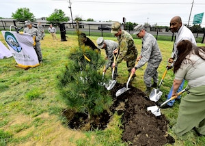 Arbor Day